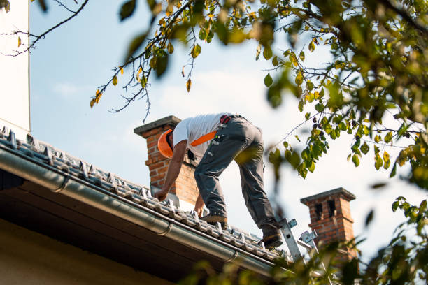 Best Roof Gutter Cleaning  in Oakdale, LA